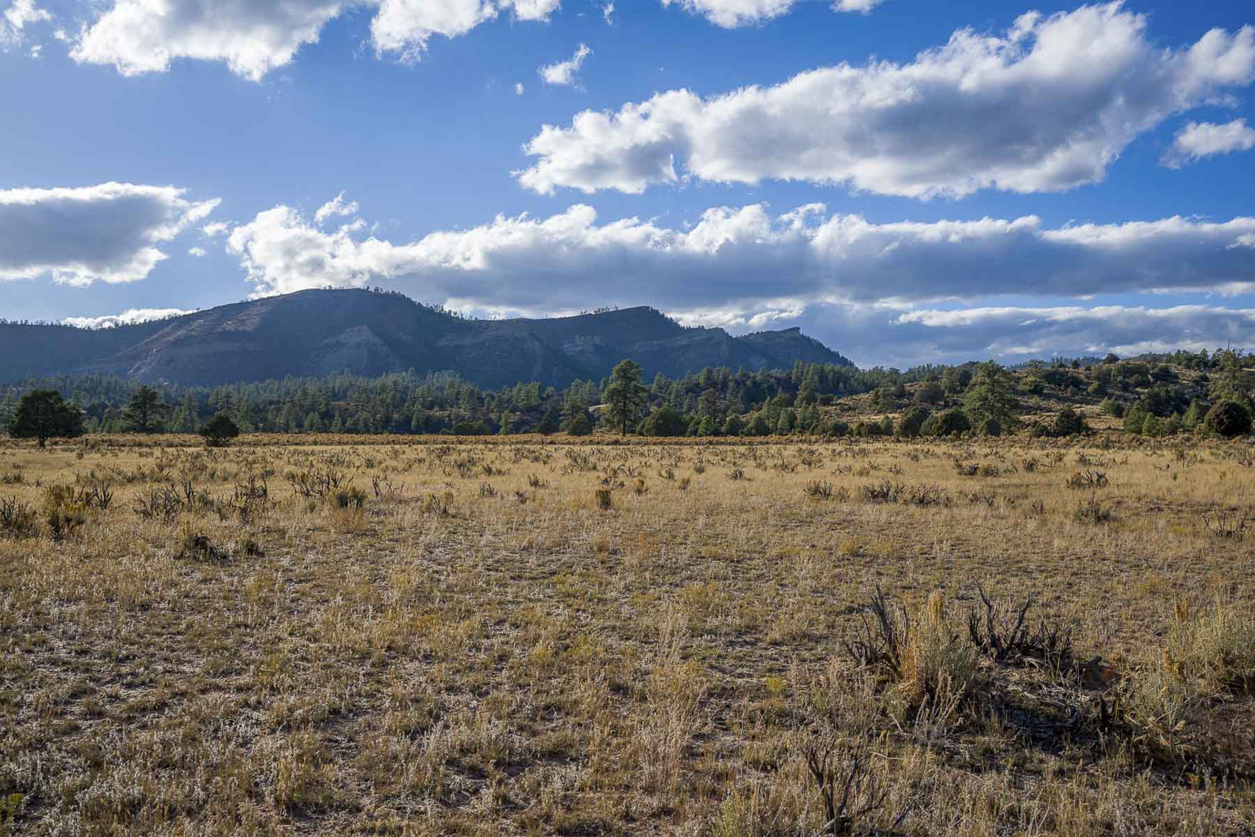 Diamond M Bar Ranch property picture 31 of 73