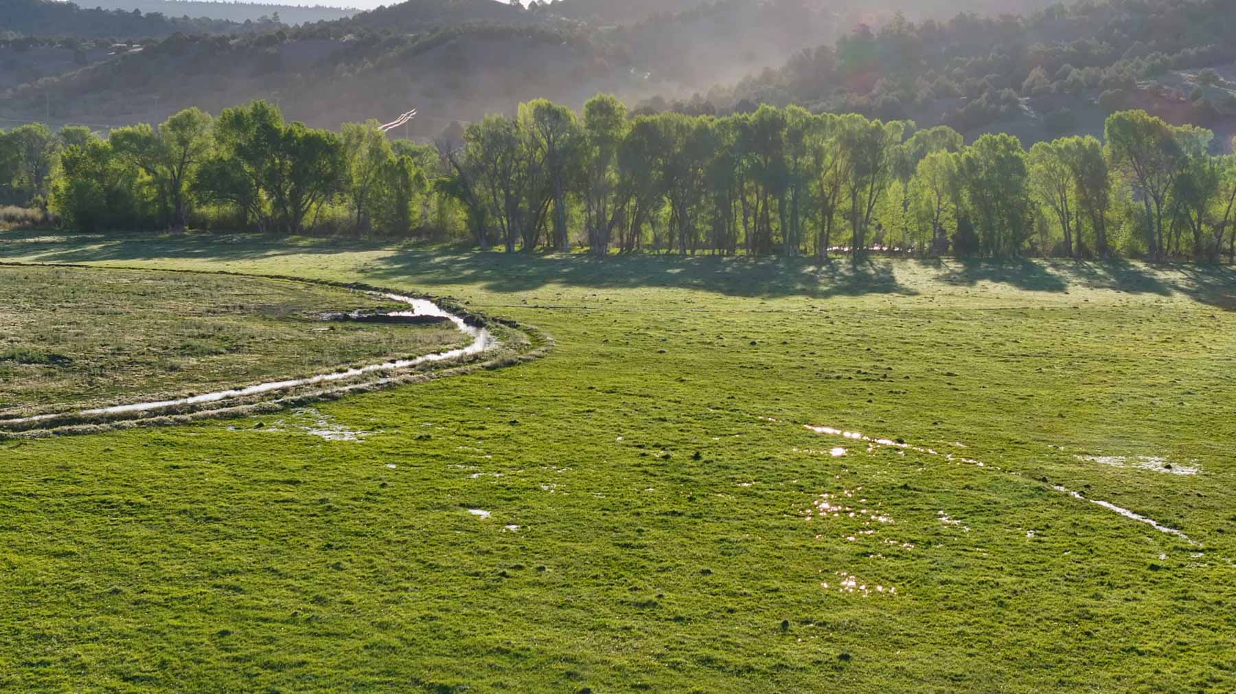 Diamond M Bar Ranch property picture 10 of 73