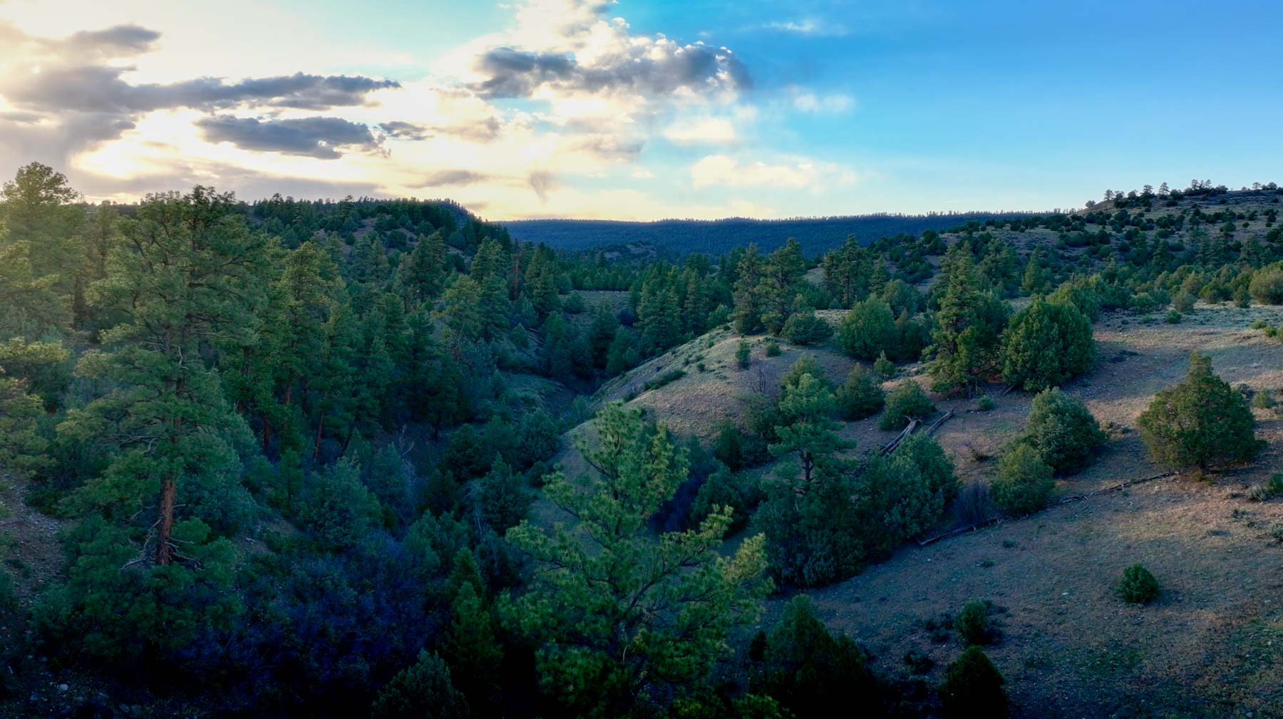 Diamond M Bar Ranch property picture 22 of 73