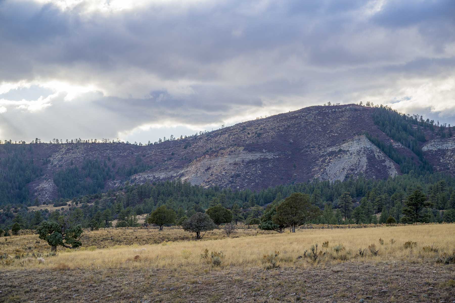 Diamond M Bar Ranch property picture 57 of 73