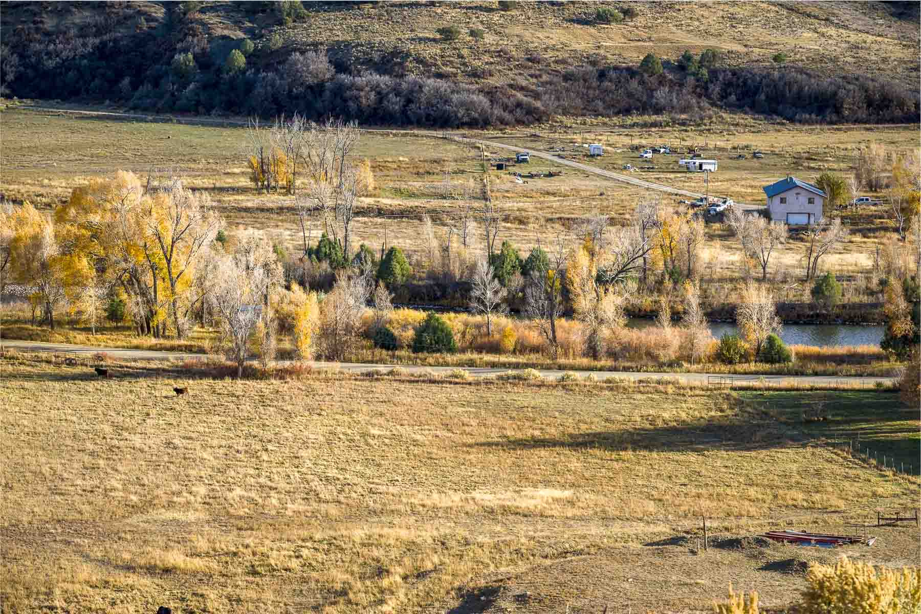 Diamond M Bar Ranch property picture 43 of 73