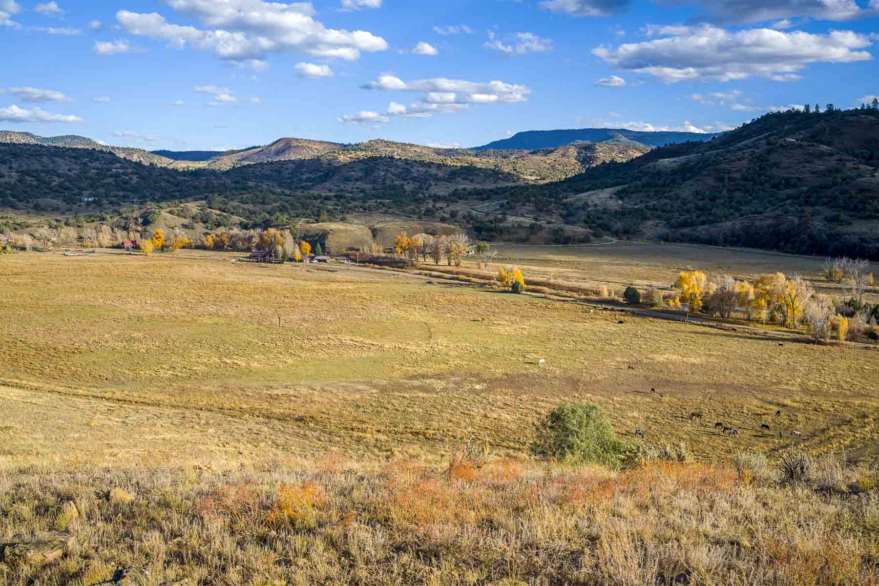 Diamond M Bar Ranch property picture 46 of 73