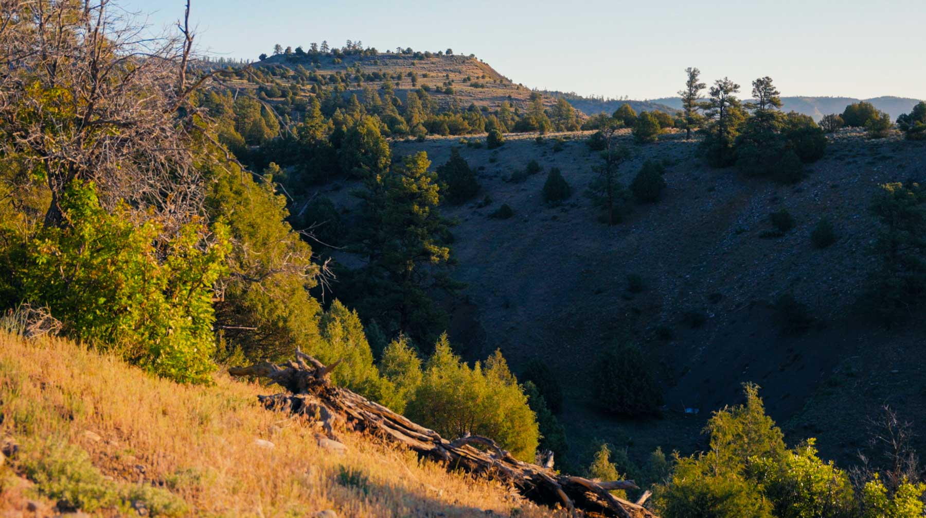 Diamond M Bar Ranch property picture 18 of 73