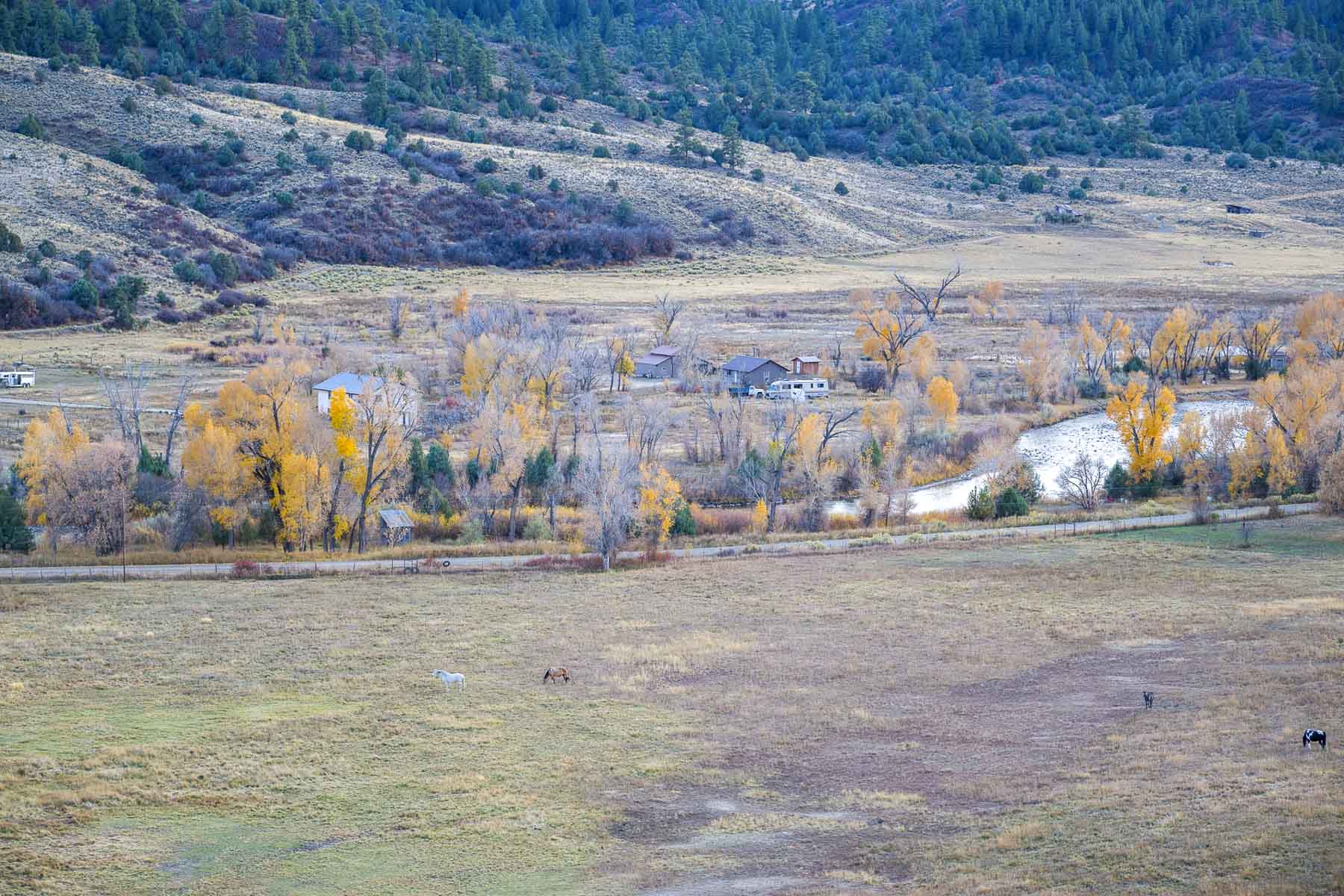 Diamond M Bar Ranch property picture 55 of 73