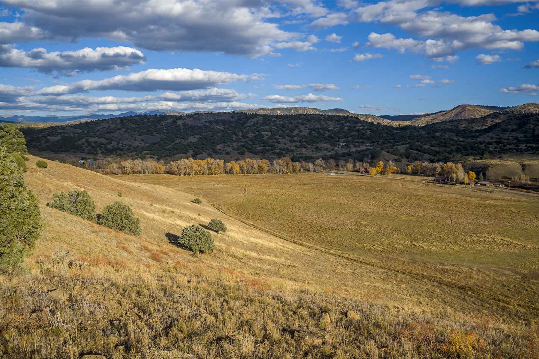 Diamond M Bar Ranch property picture 45 of 73