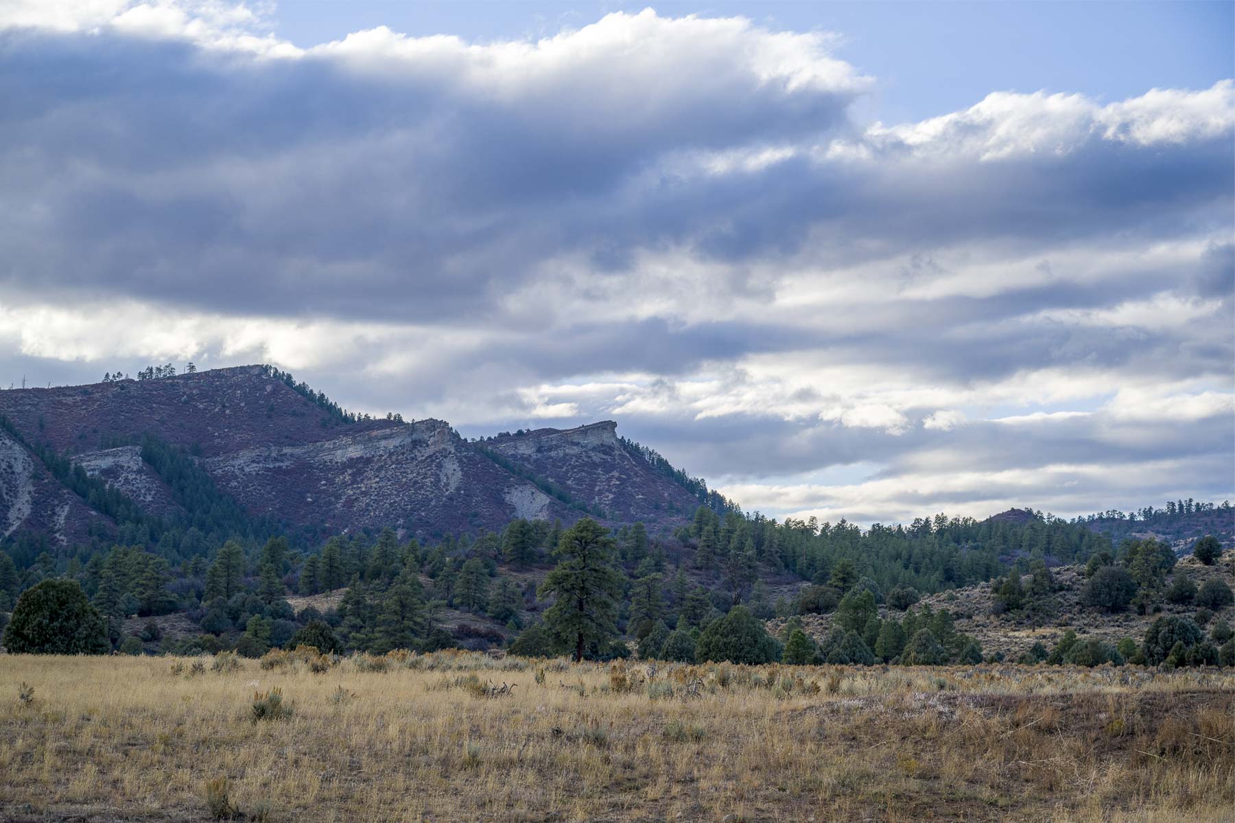 Diamond M Bar Ranch property picture 56 of 73