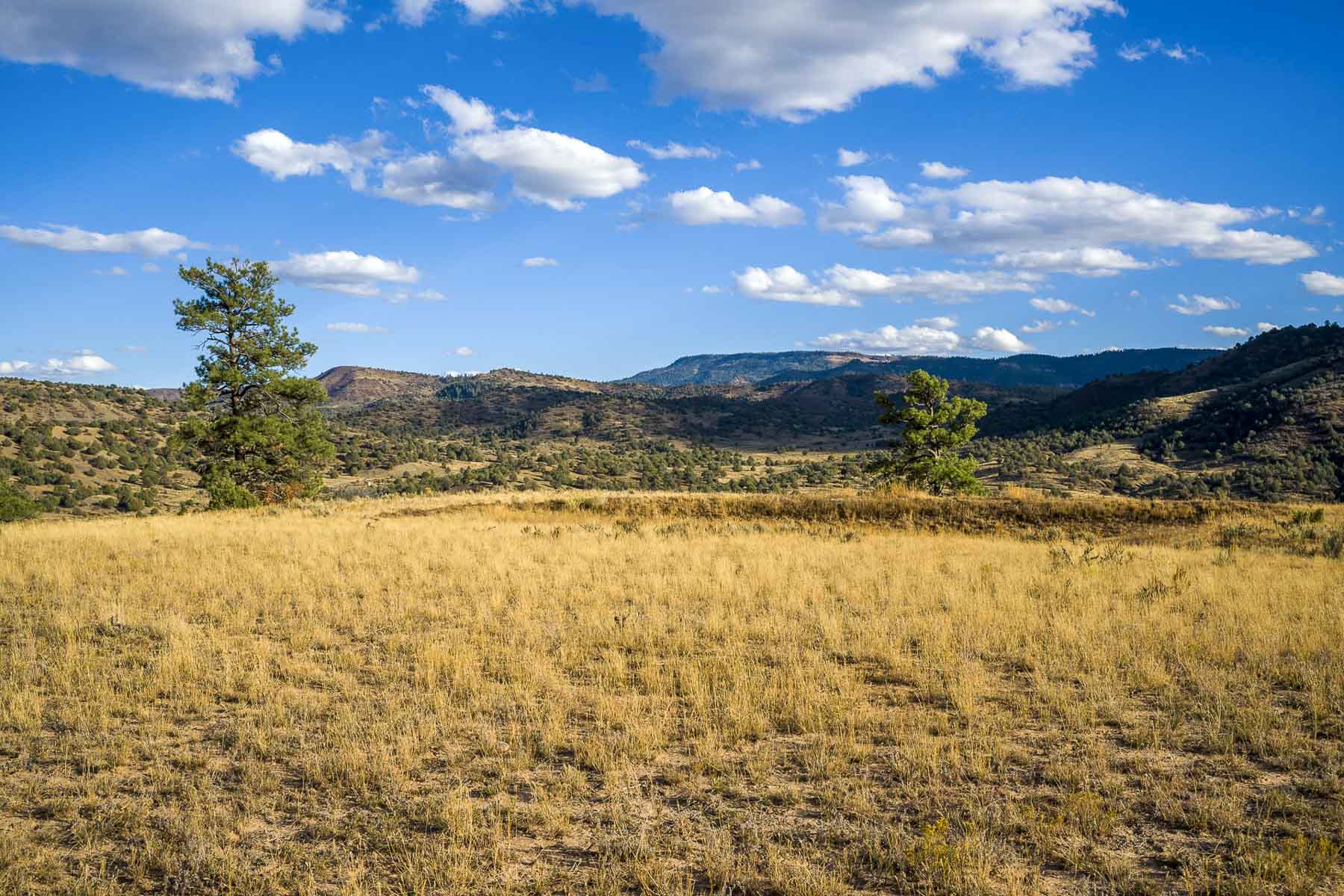 Diamond M Bar Ranch property picture 34 of 73
