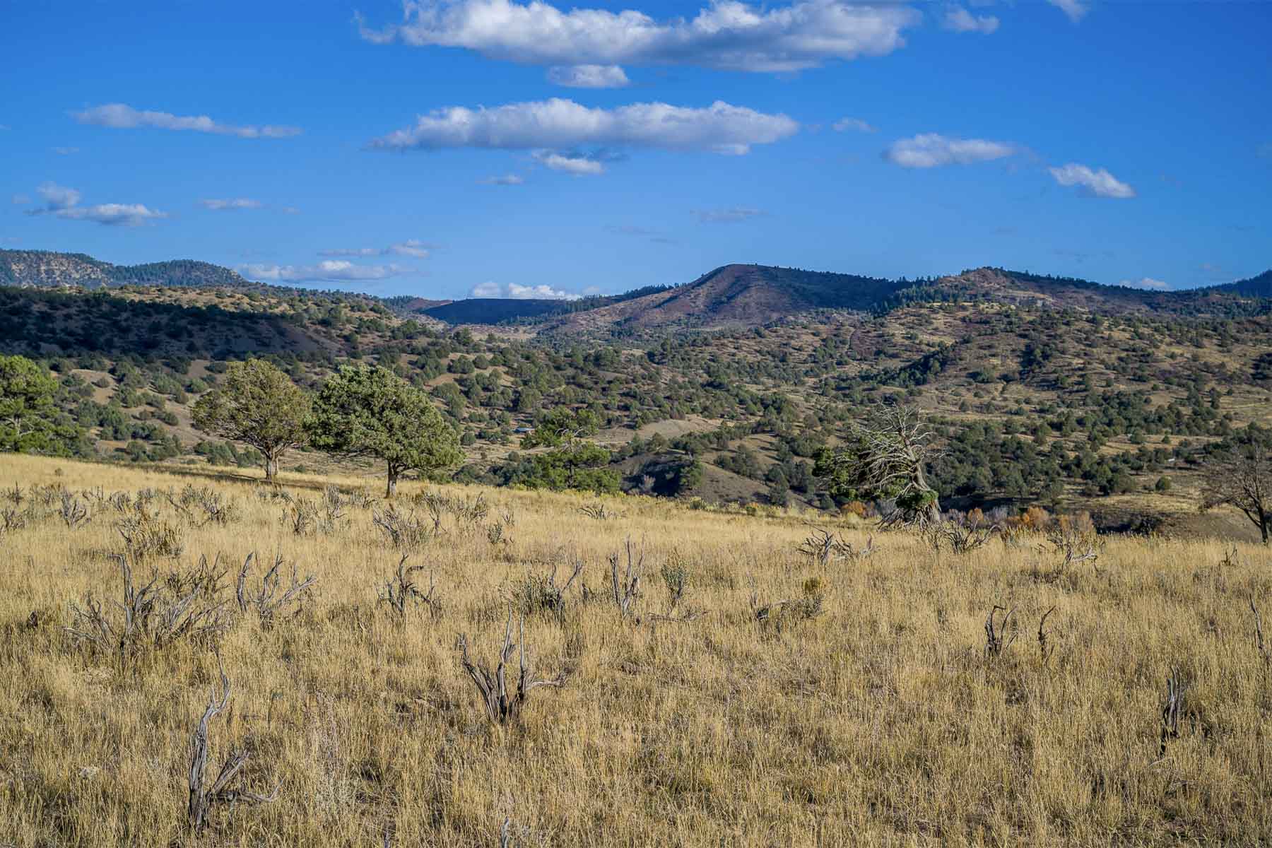 Diamond M Bar Ranch property picture 38 of 73