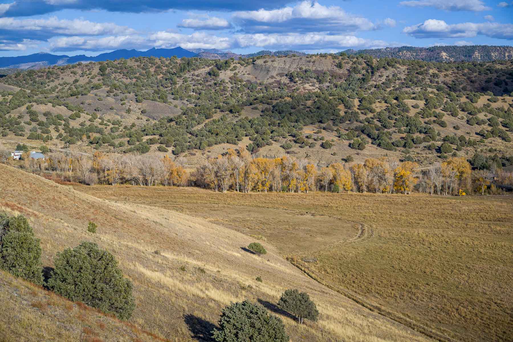 Diamond M Bar Ranch property picture 49 of 73