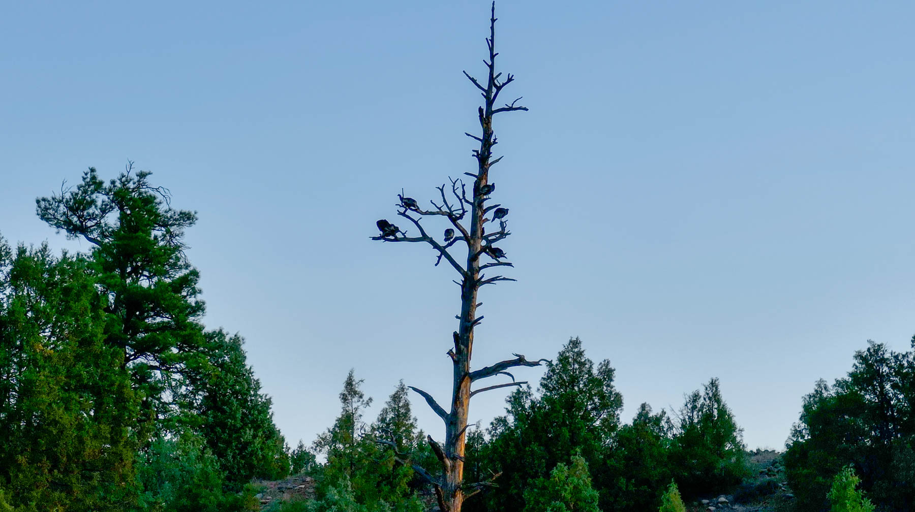 Diamond M Bar Ranch property picture 17 of 73