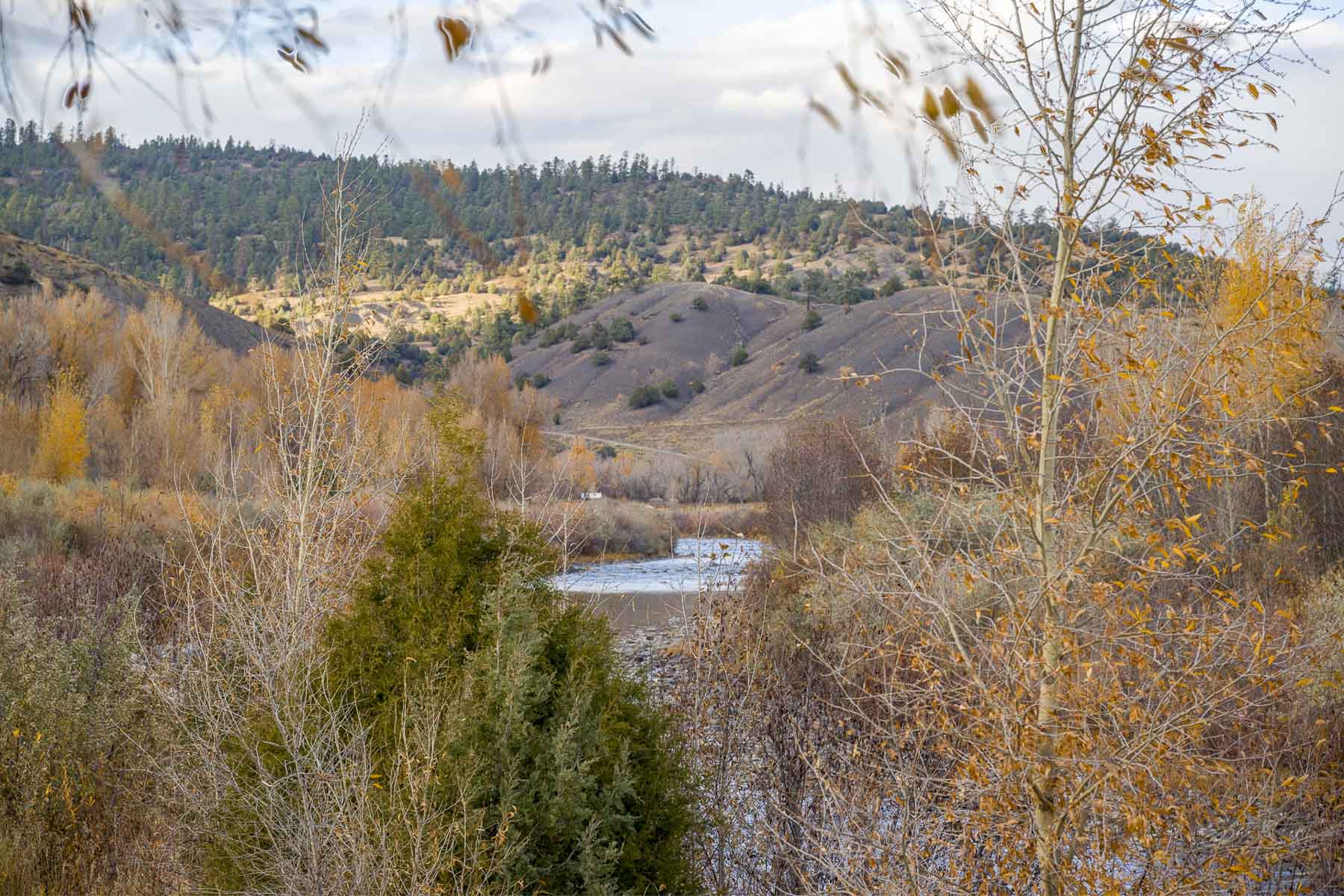 Diamond M Bar Ranch property picture 66 of 73