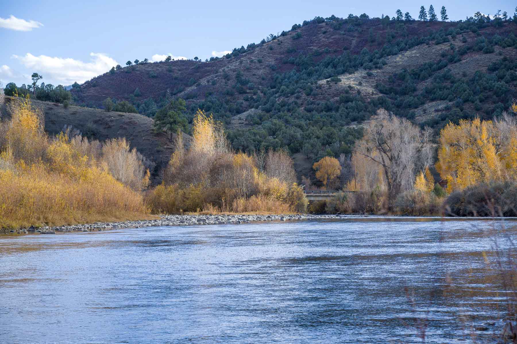 Diamond M Bar Ranch property picture 27 of 73