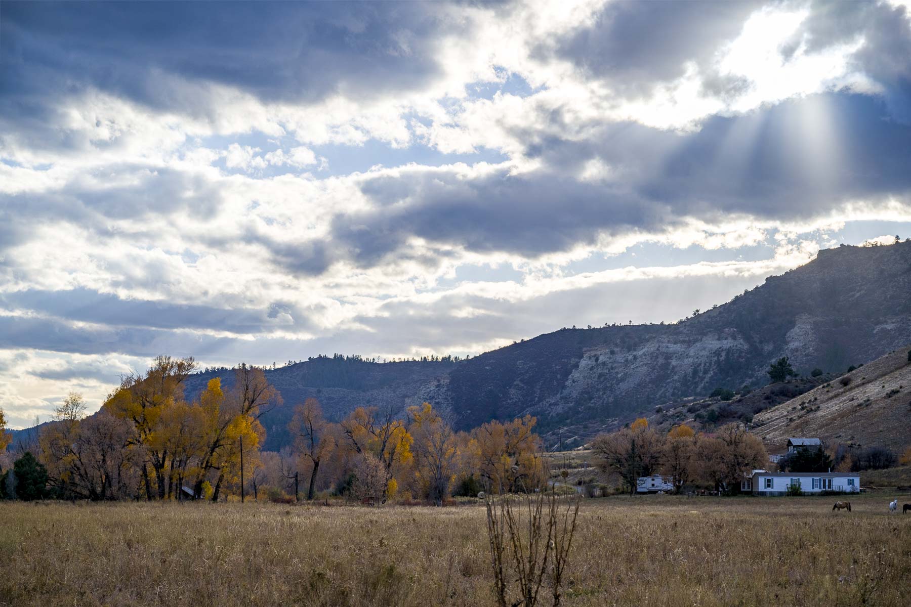 Diamond M Bar Ranch property picture 59 of 73