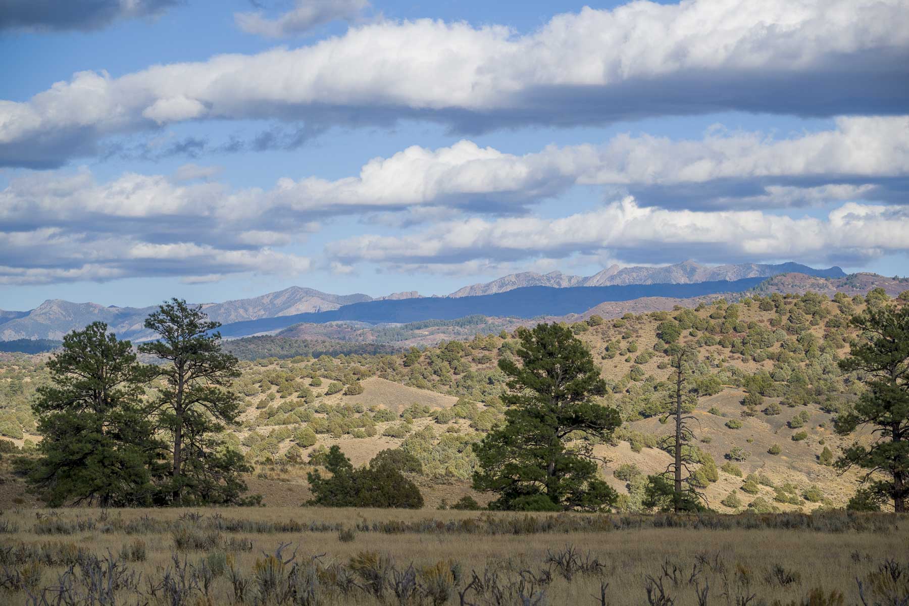 Diamond M Bar Ranch property picture 44 of 73