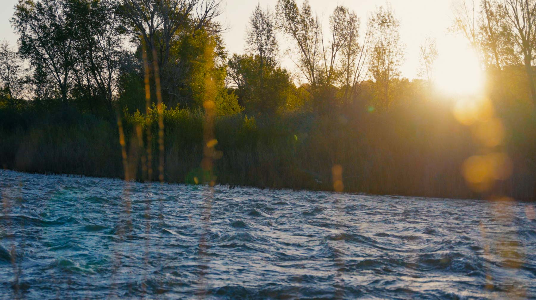 Diamond M Bar Ranch property picture 6 of 73