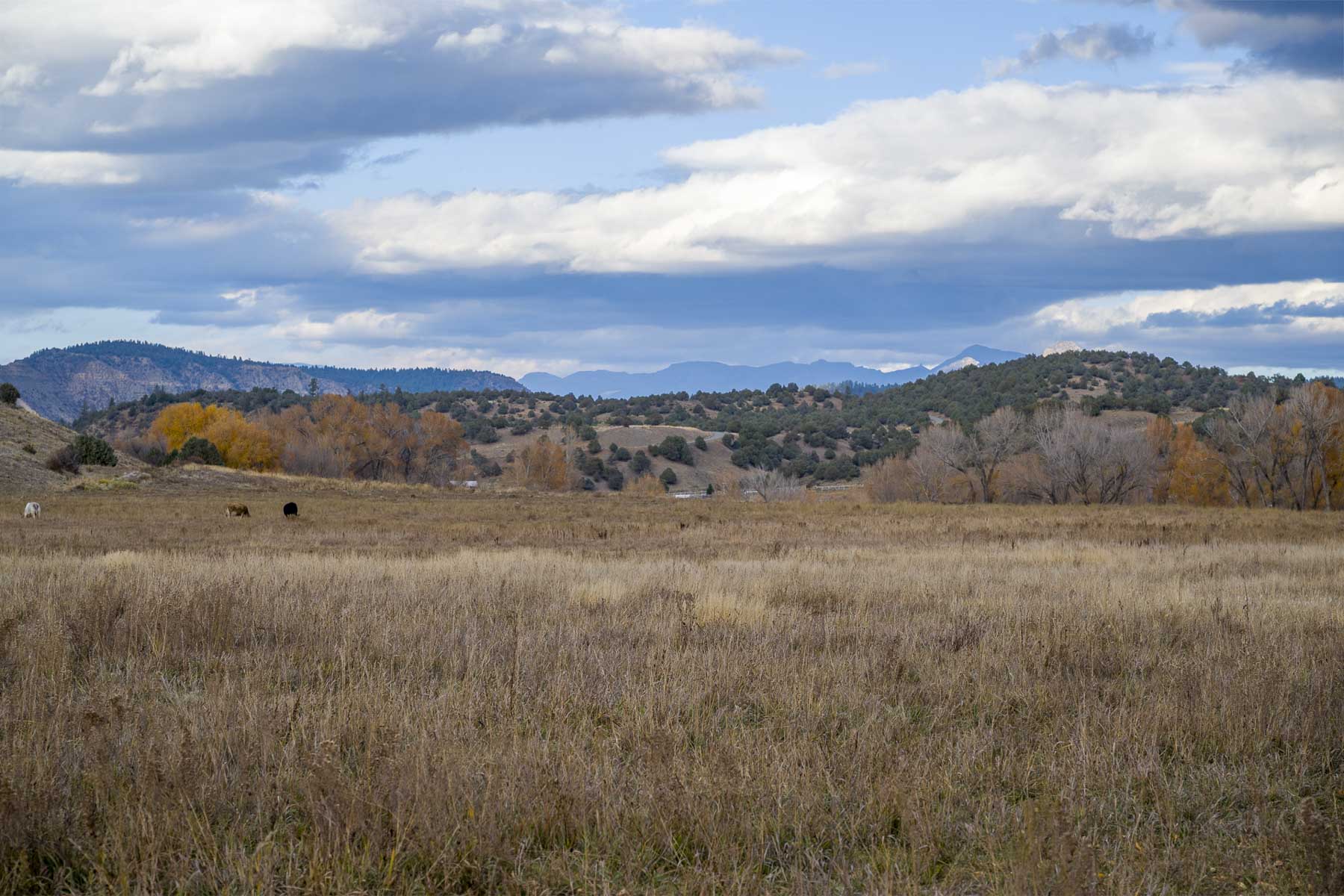 Diamond M Bar Ranch property picture 64 of 73