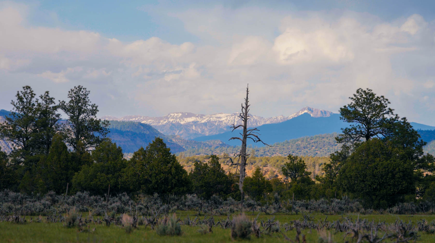 Diamond M Bar Ranch property picture 14 of 73