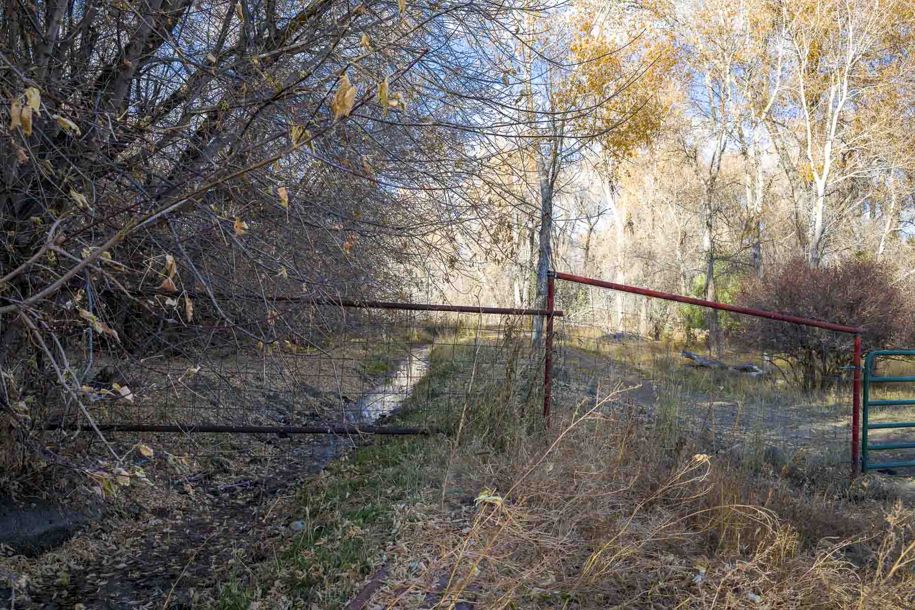 Diamond M Bar Ranch property picture 29 of 73