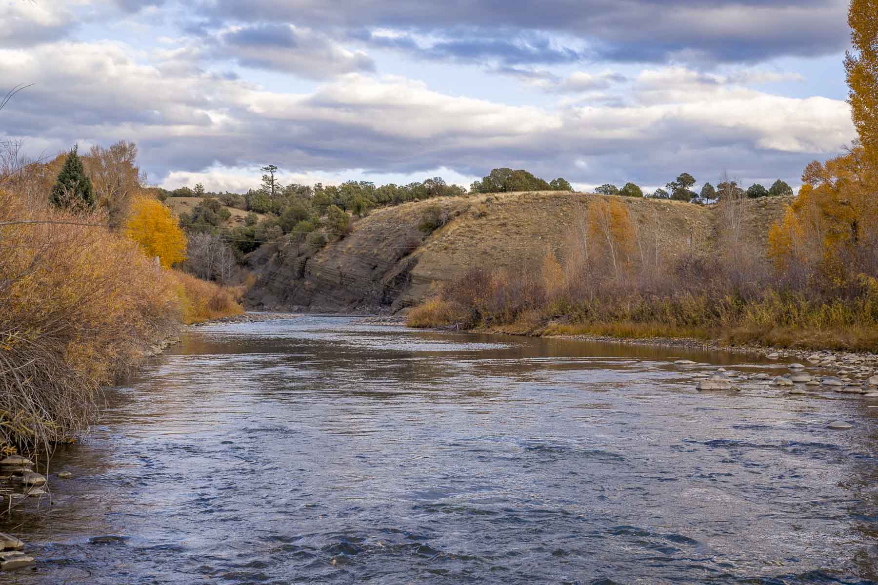 Diamond M Bar Ranch property picture 70 of 73