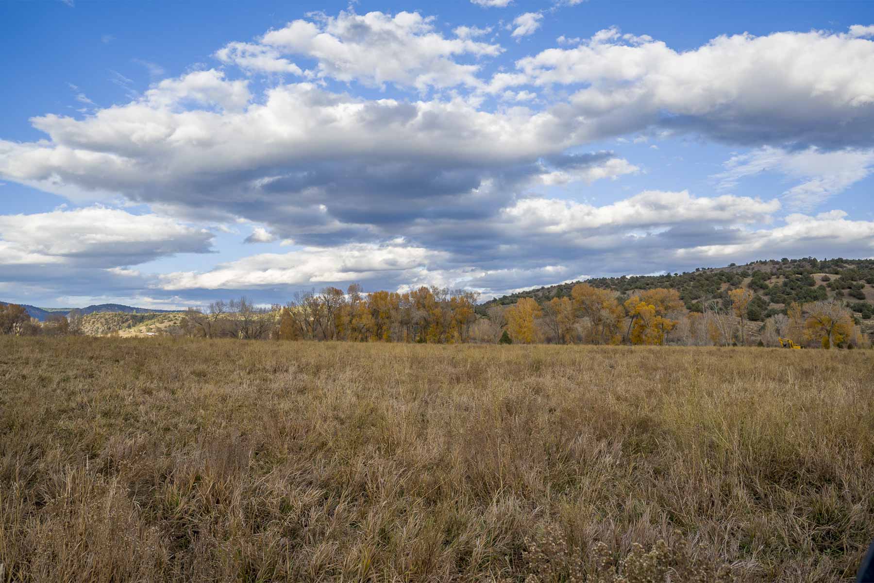 Diamond M Bar Ranch property picture 62 of 73
