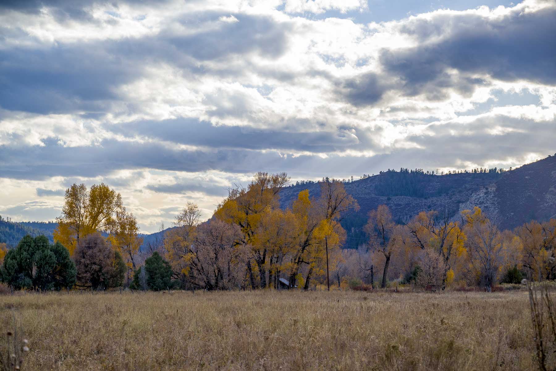 Diamond M Bar Ranch property picture 60 of 73