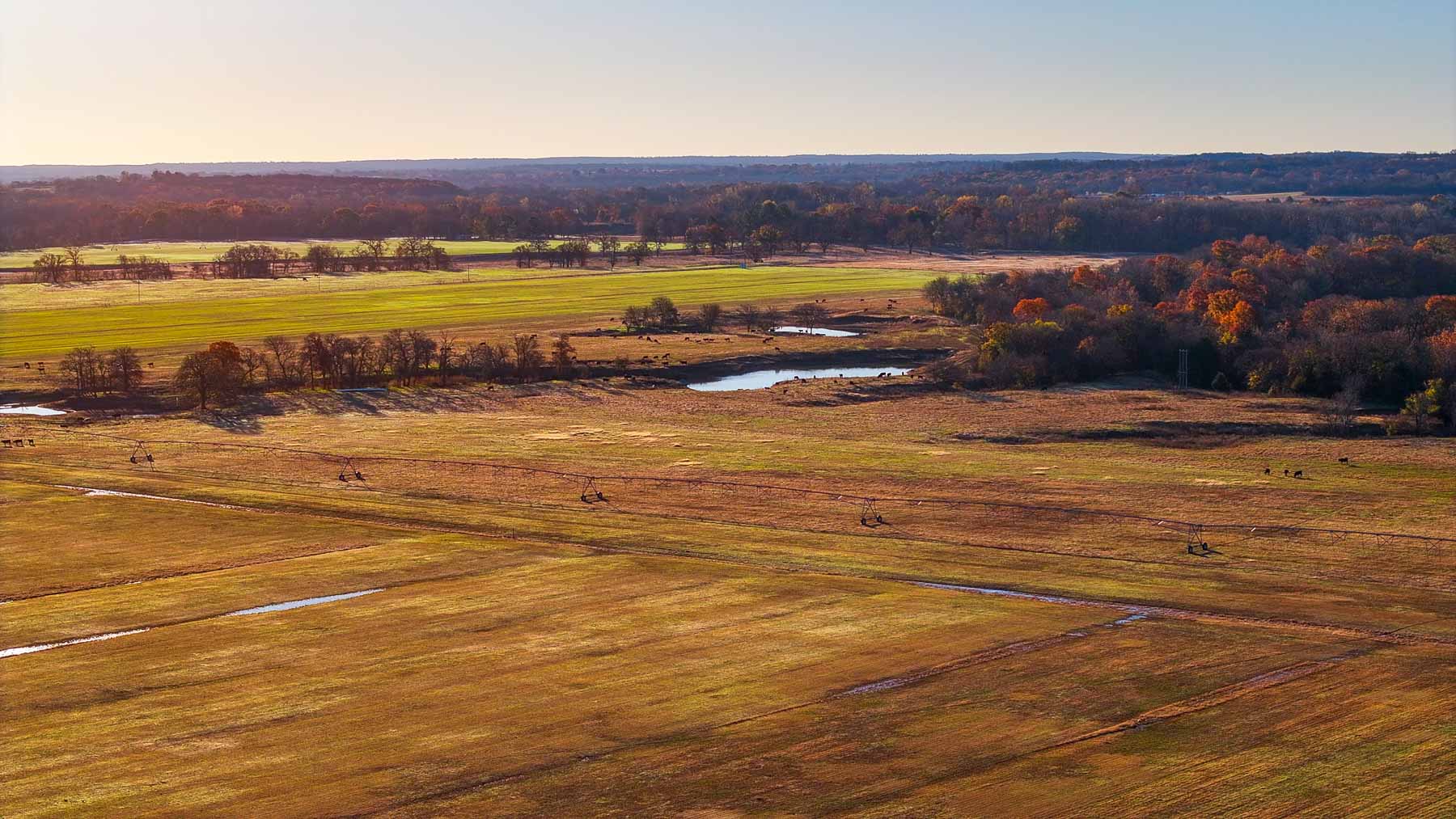 Davis Farm property picture 69 of 81