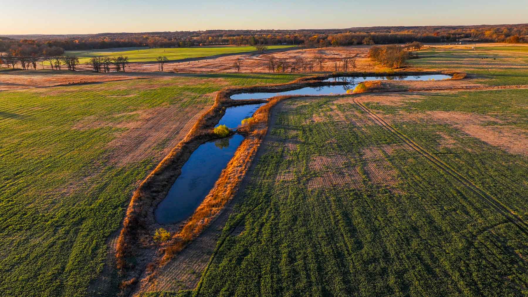 Davis Farm property picture 7 of 81