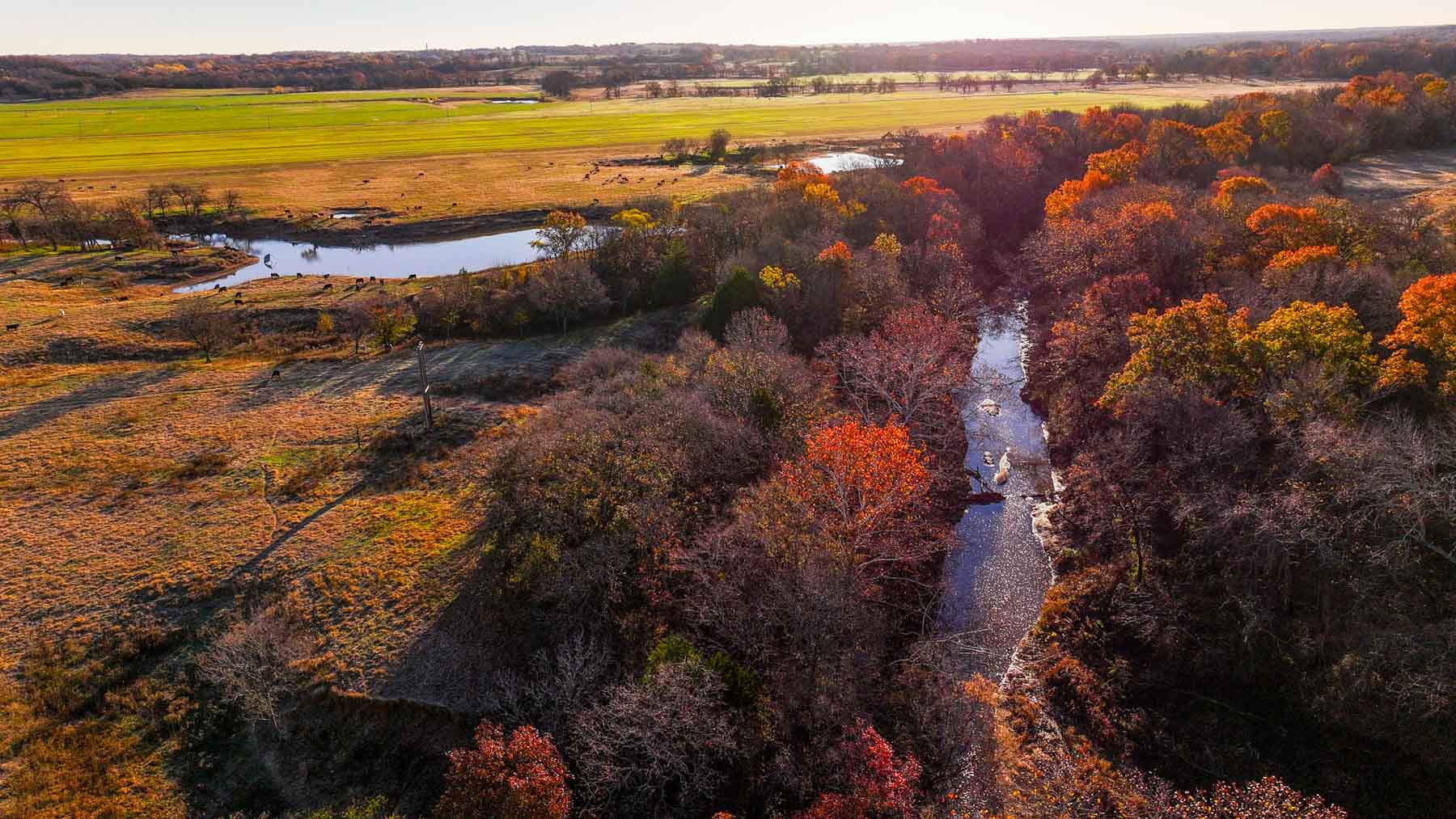 Davis Farm property picture 45 of 81