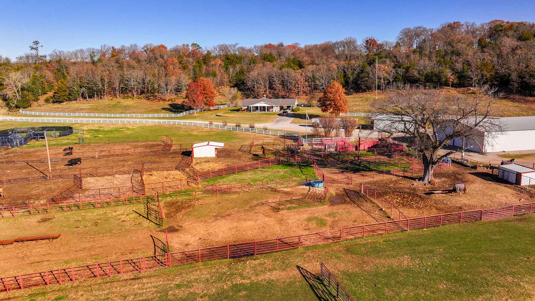 Davis Farm property picture 30 of 81