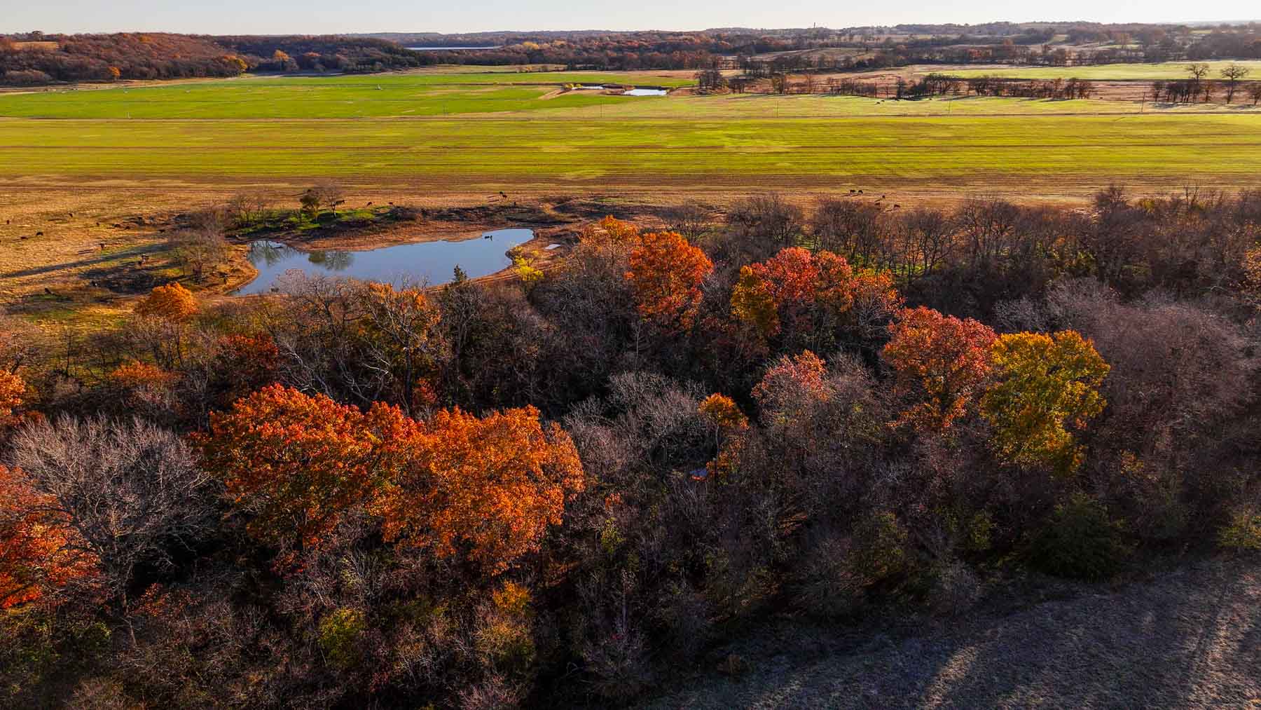 Davis Farm property picture 6 of 81