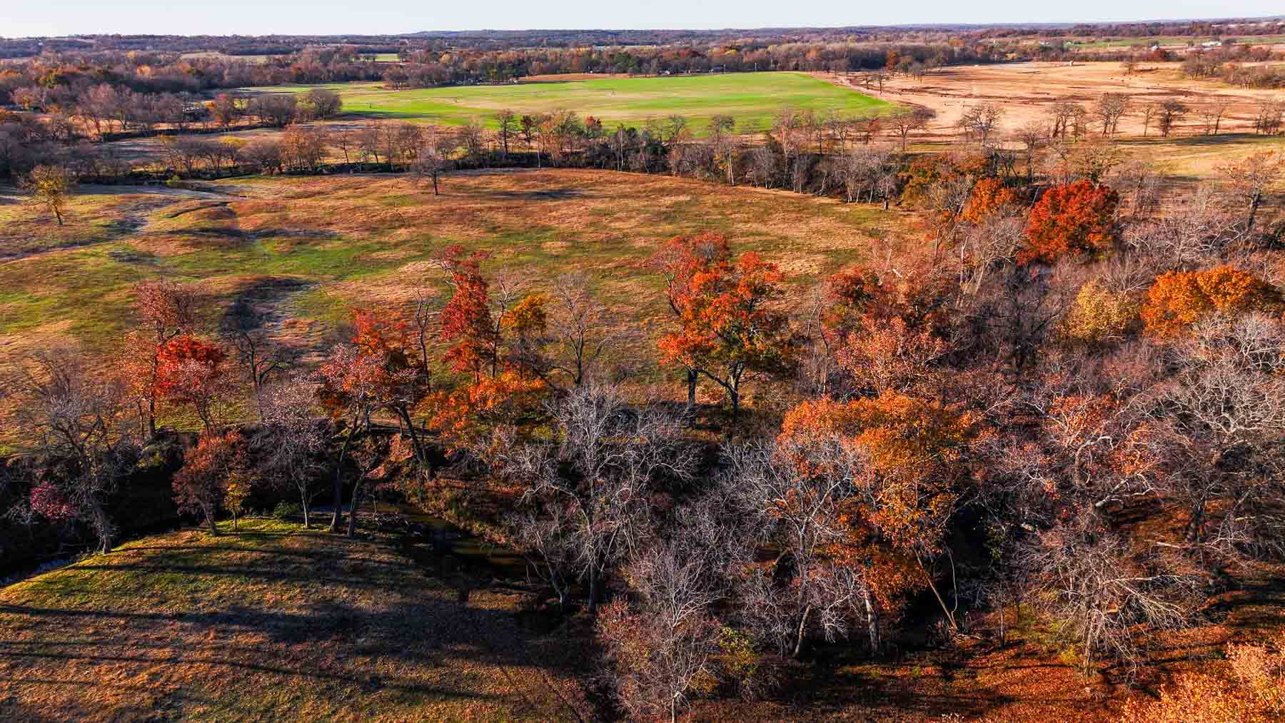 Davis Farm property picture 21 of 81