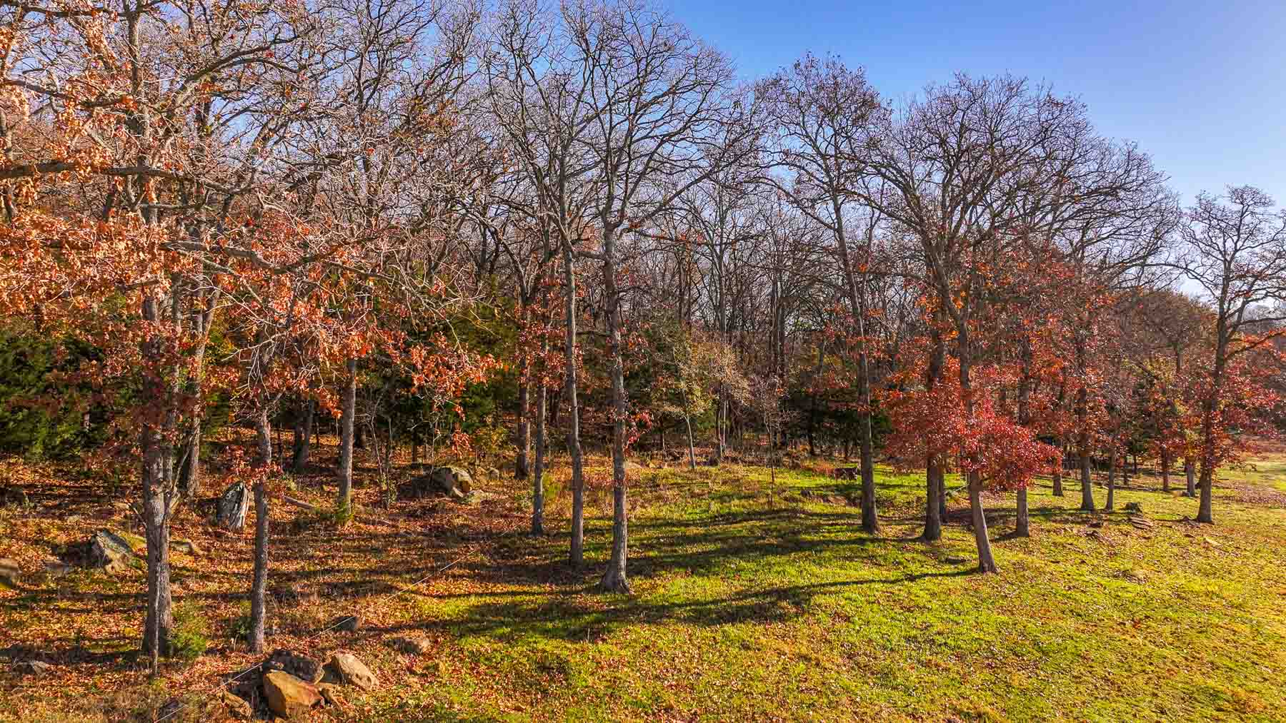 Davis Farm property picture 77 of 81