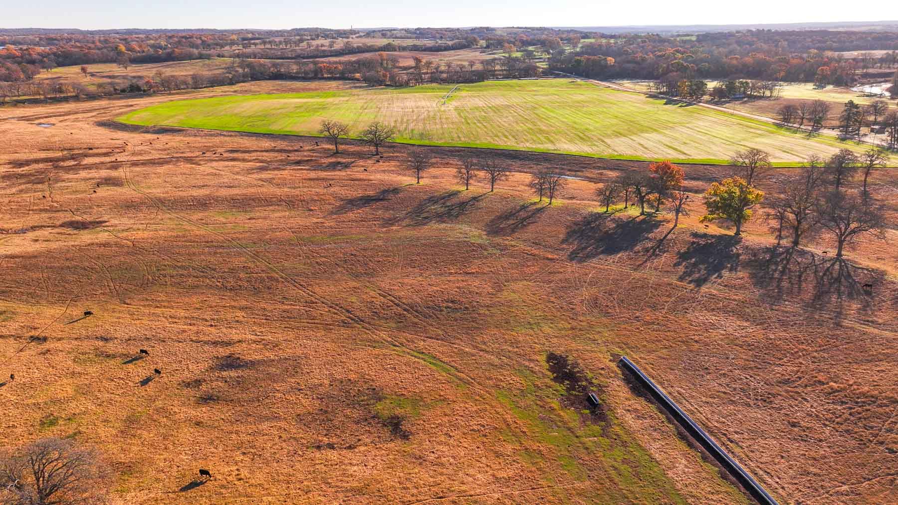 Davis Farm property picture 48 of 81