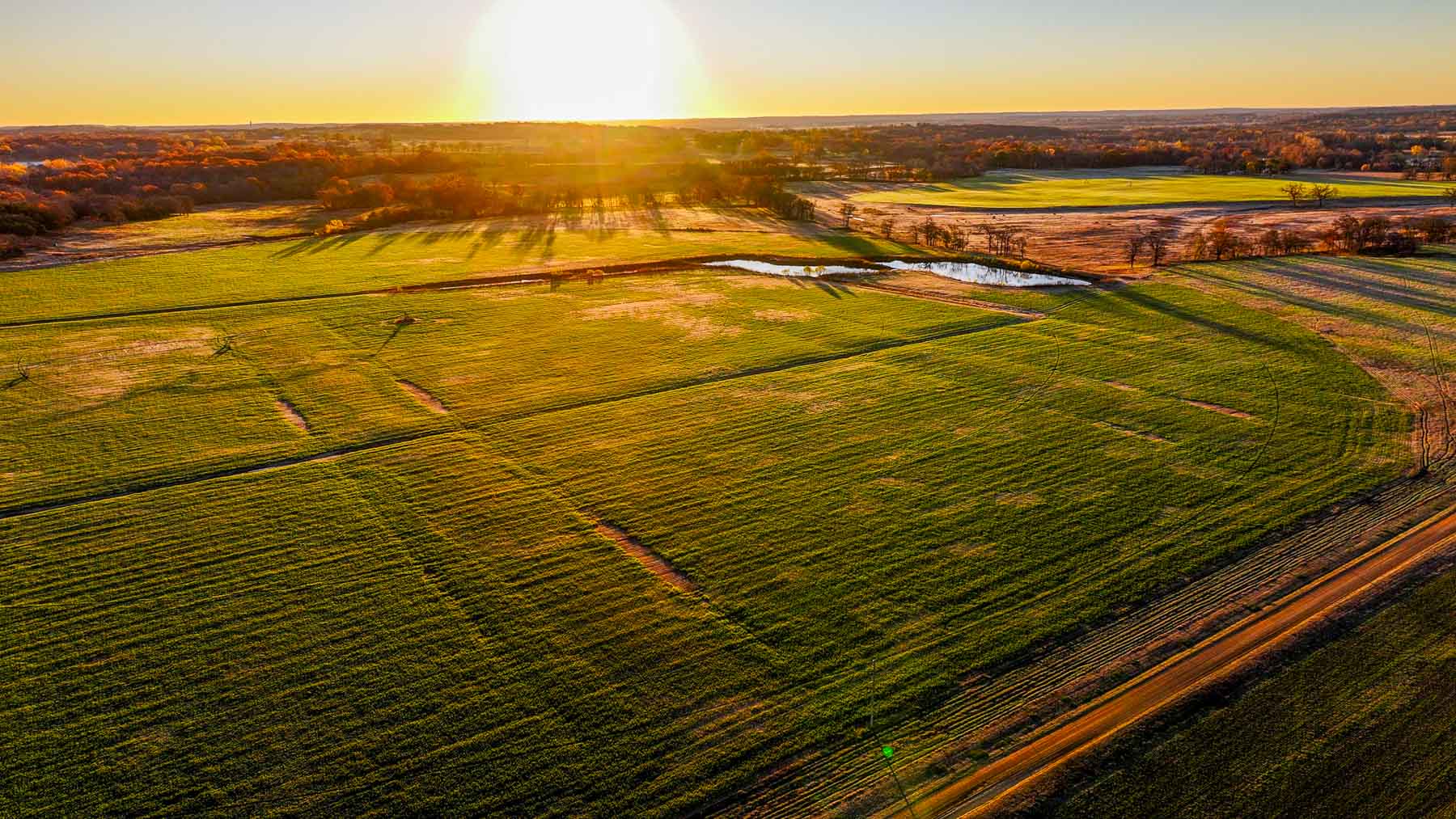 Davis Farm property picture 9 of 81