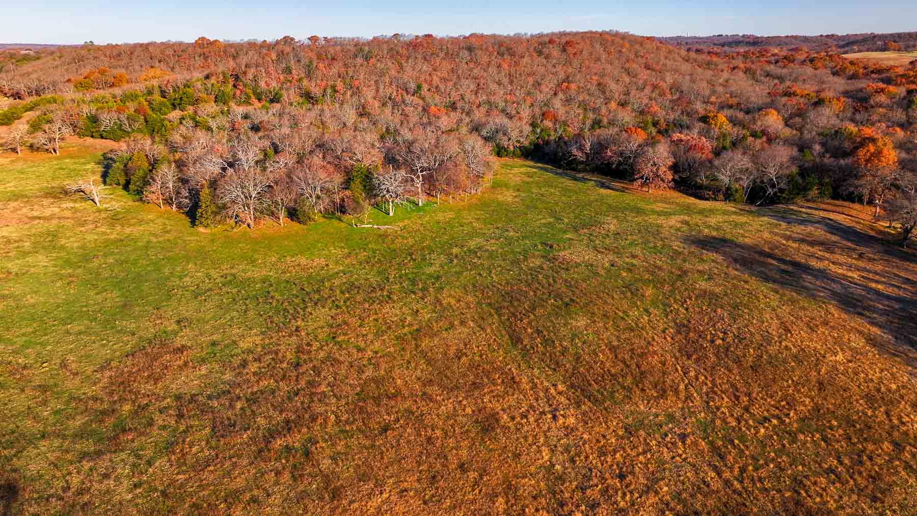 Davis Farm property picture 64 of 81