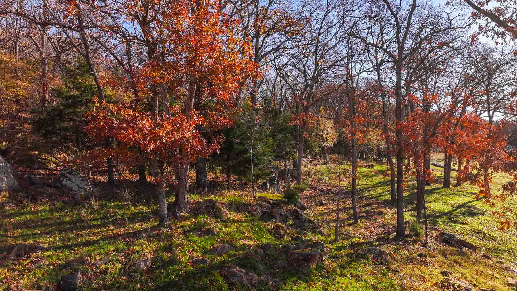 Davis Farm property picture 67 of 81