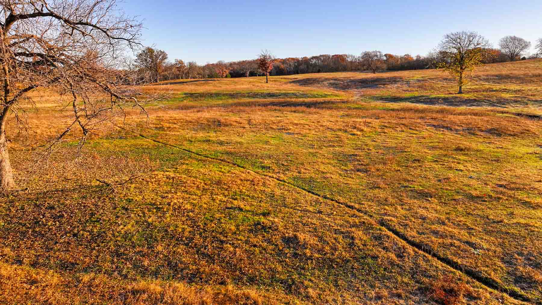 Davis Farm property picture 59 of 81