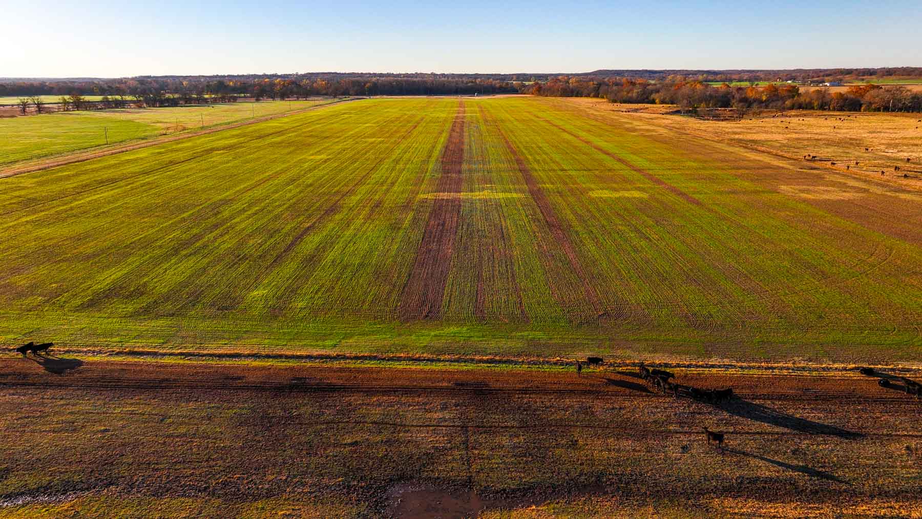 Davis Farm property picture 20 of 81