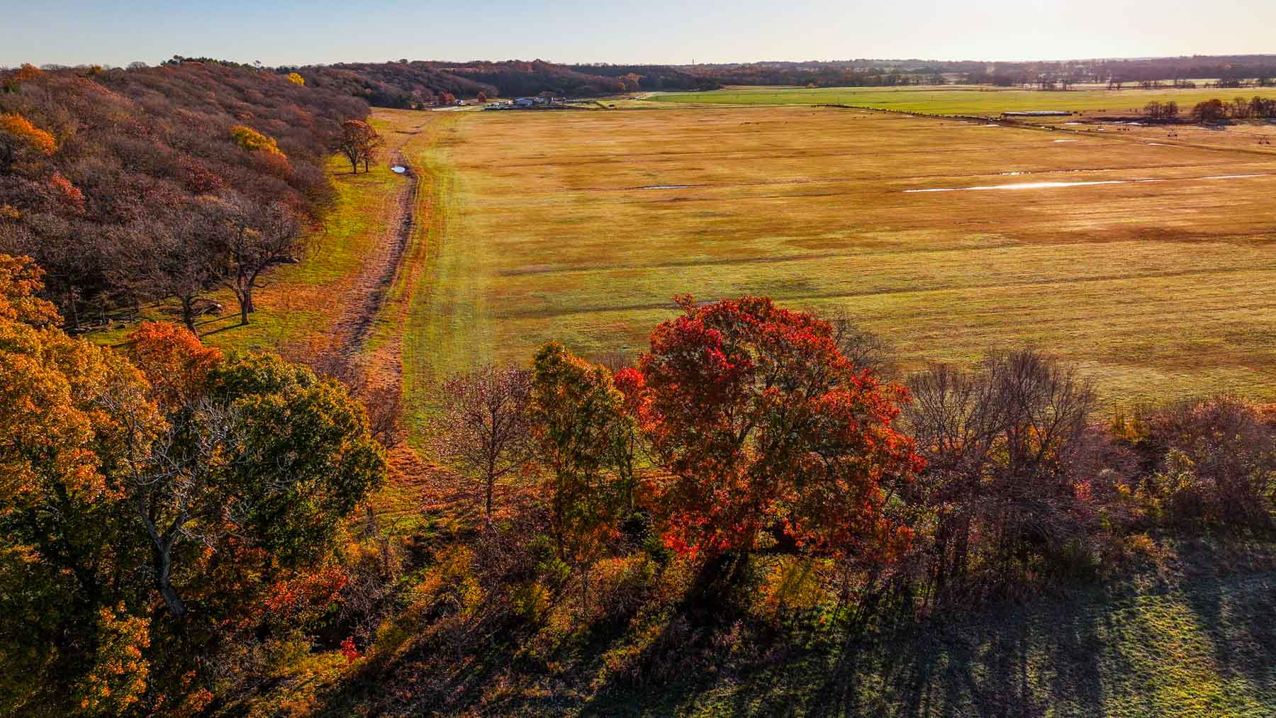 Davis Farm property picture 68 of 81