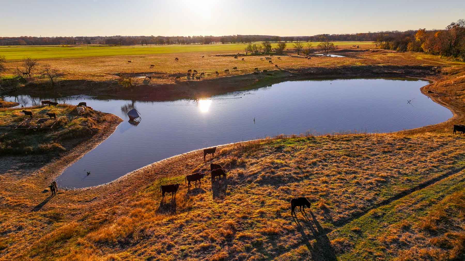 Davis Farm property picture 57 of 81