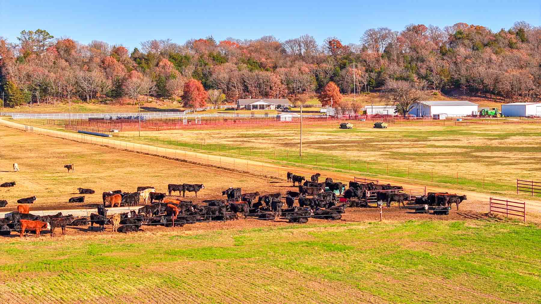 Davis Farm property picture 42 of 81