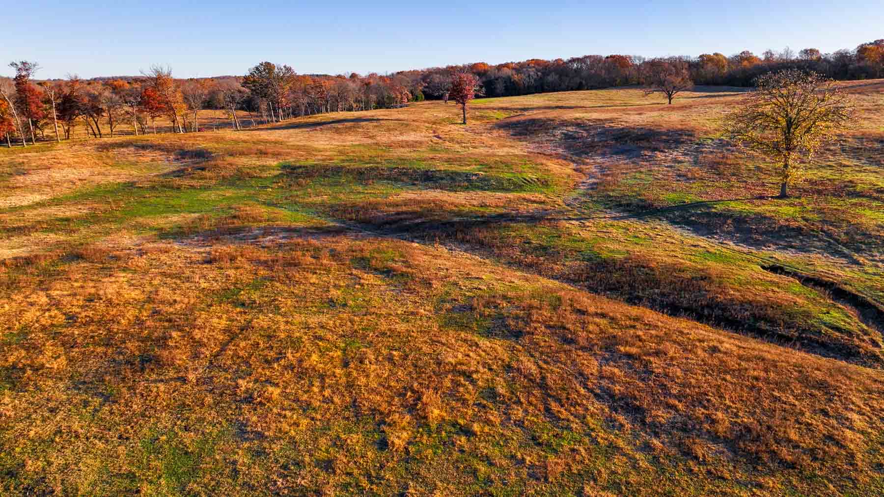 Davis Farm property picture 11 of 81