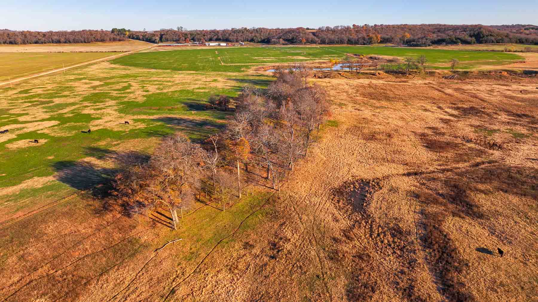 Davis Farm property picture 61 of 81