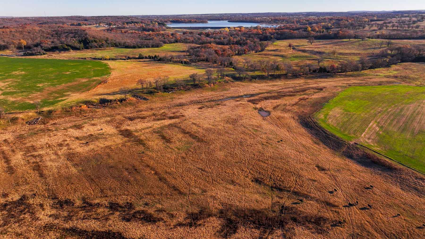 Davis Farm property picture 60 of 81