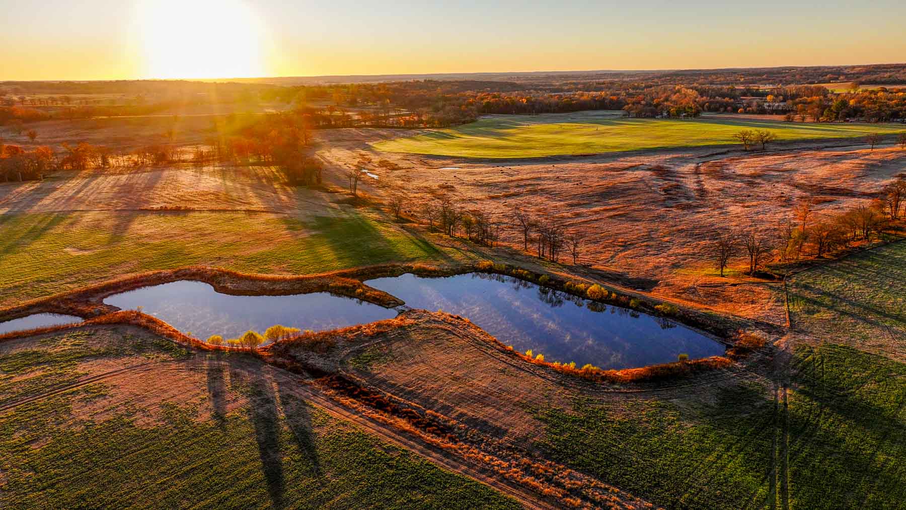 Davis Farm property picture 13 of 81