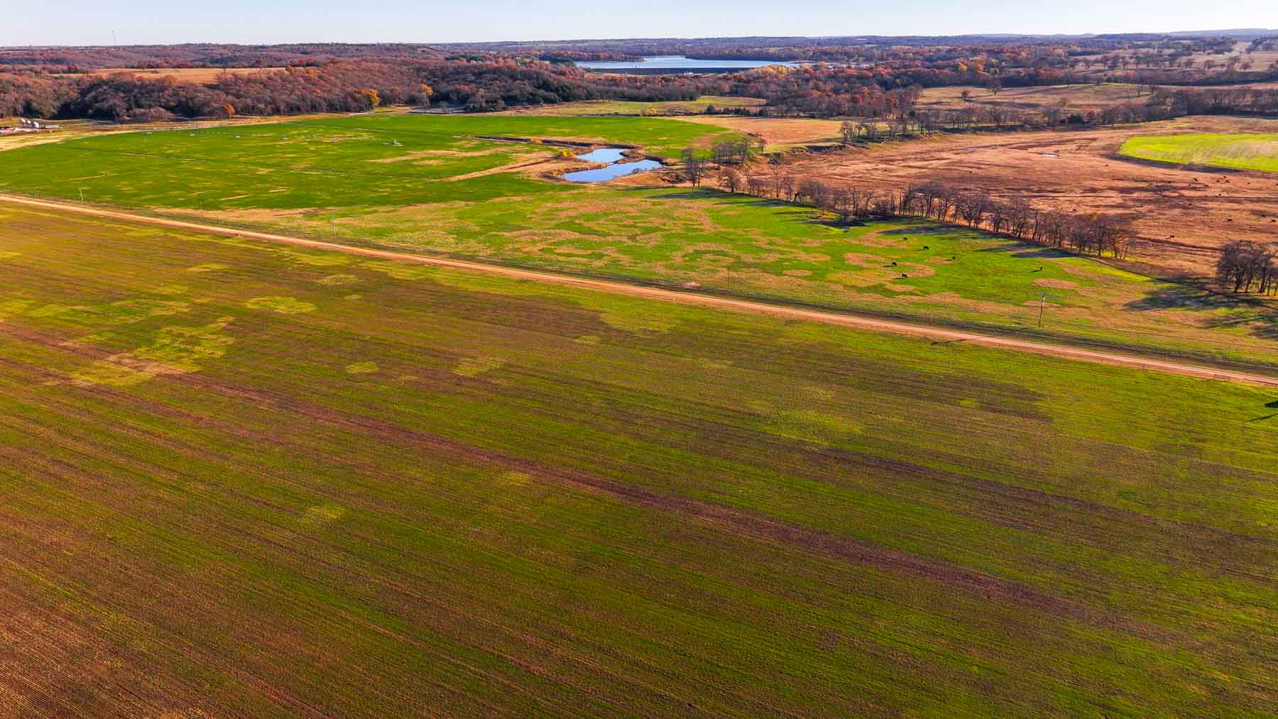 Davis Farm property picture 62 of 81