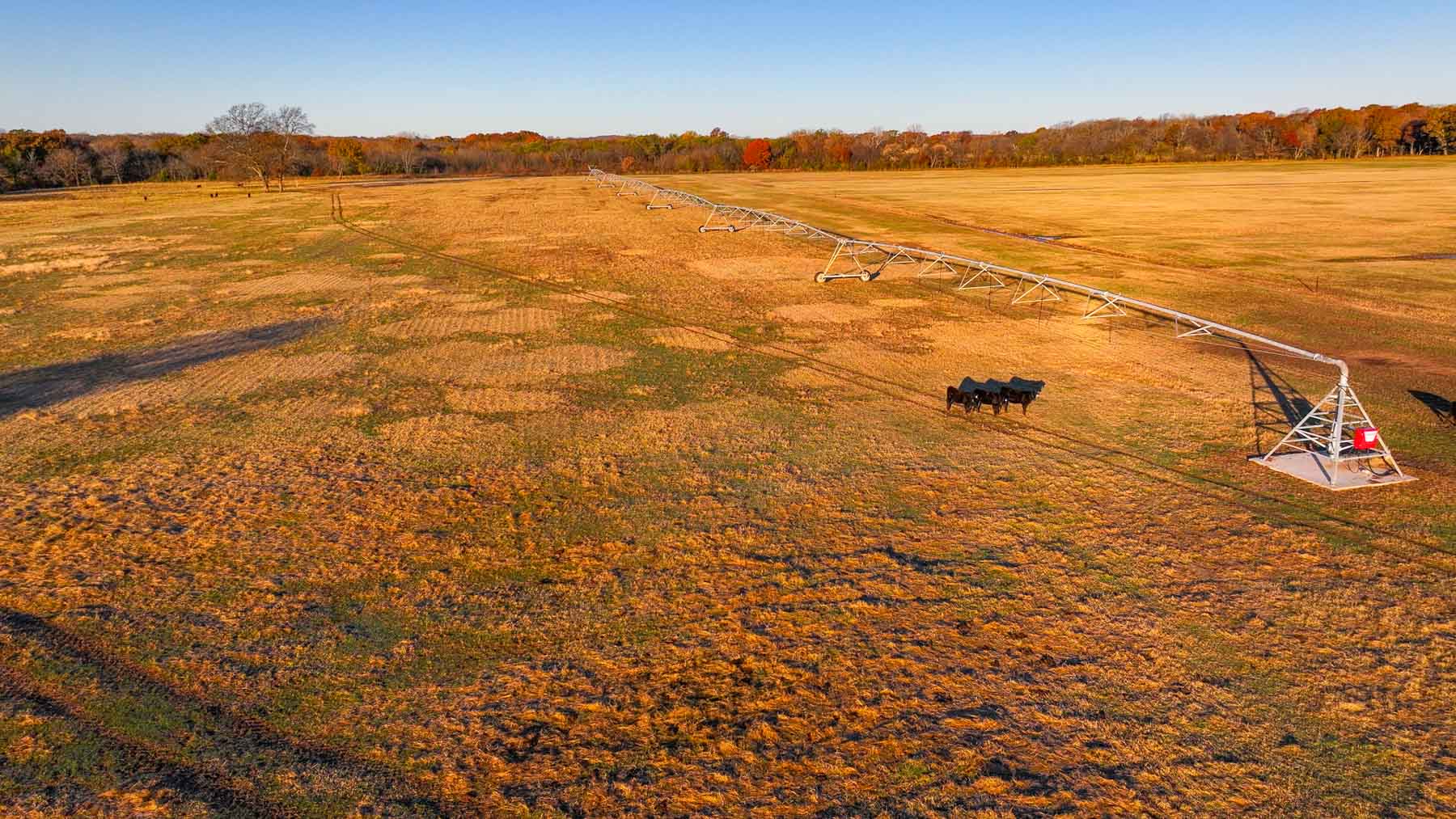 Davis Farm property picture 53 of 81