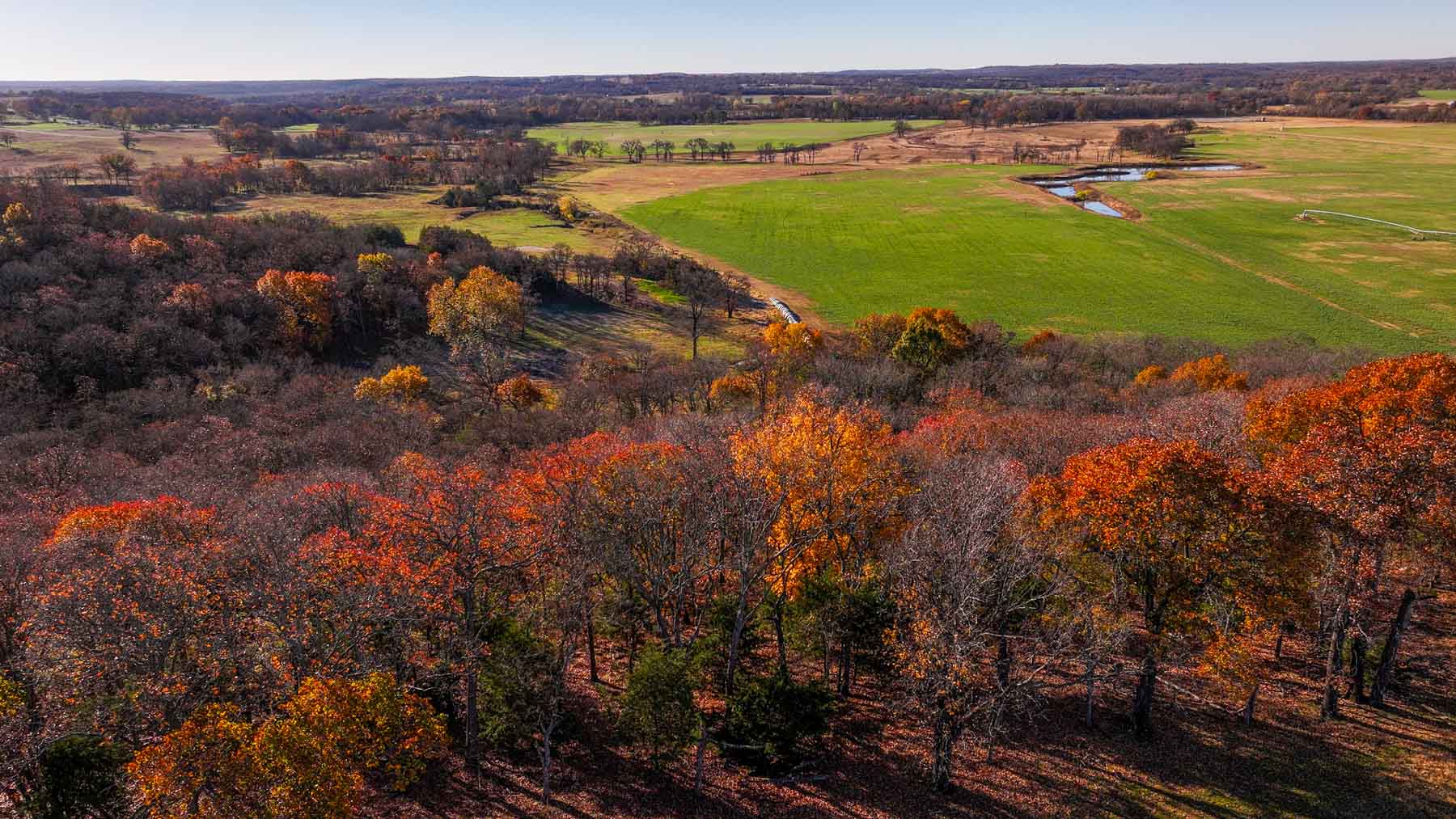 Davis Farm property picture 51 of 81