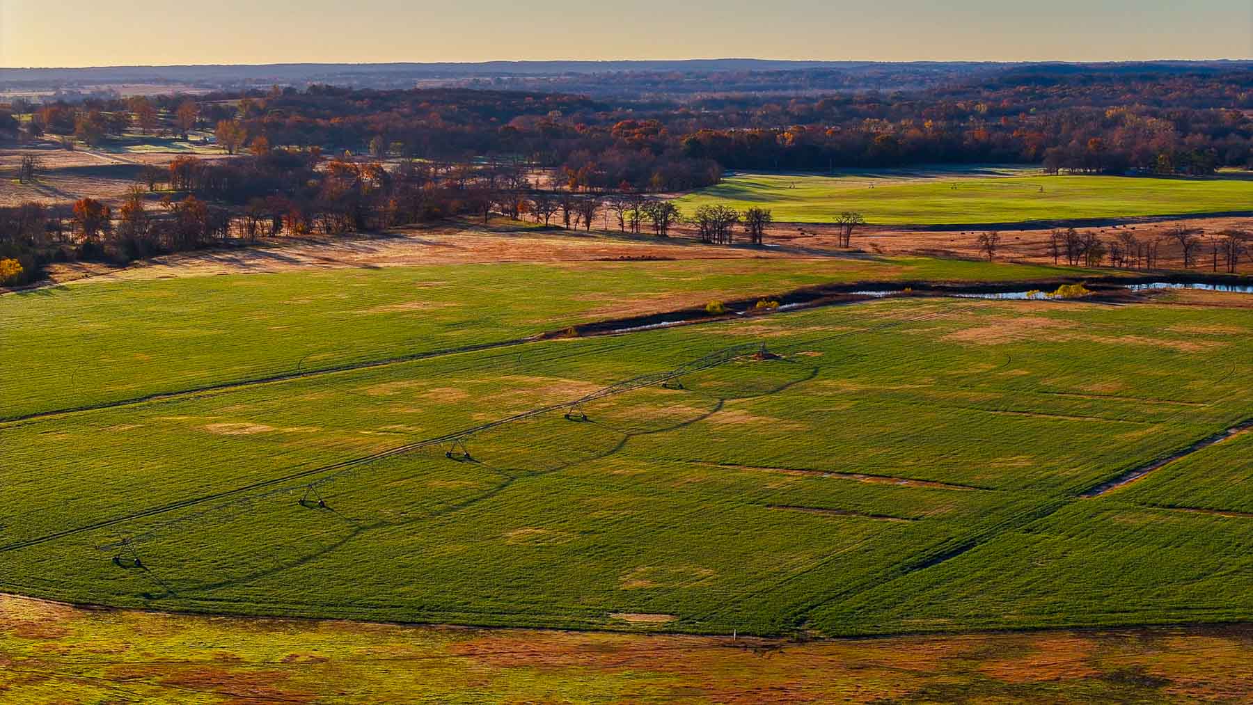 Davis Farm property picture 75 of 81