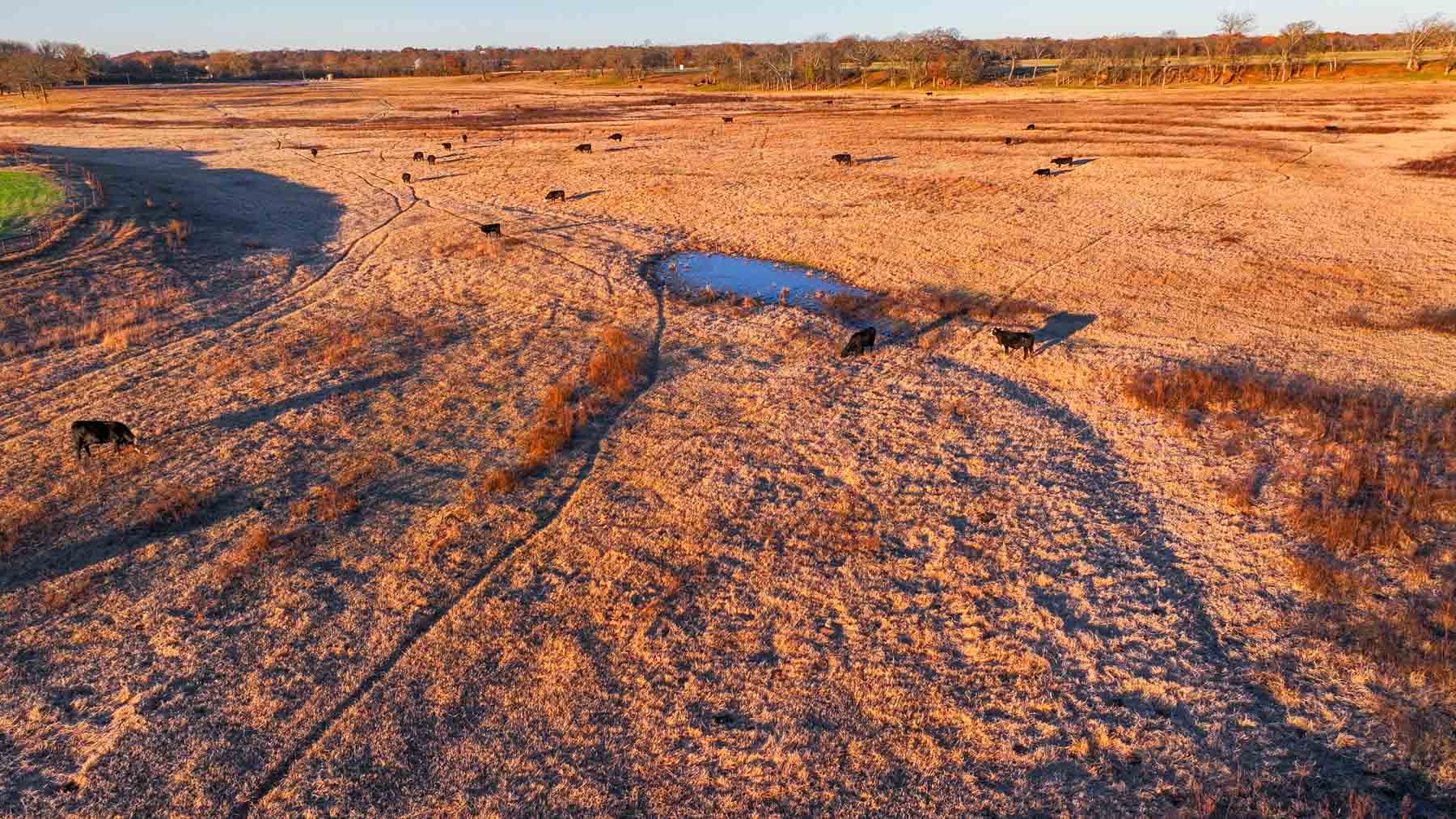 Davis Farm property picture 26 of 81